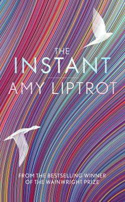 The Instant: Sunday Times Bestseller