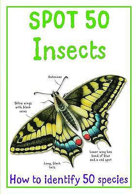 Spot 50 Insects