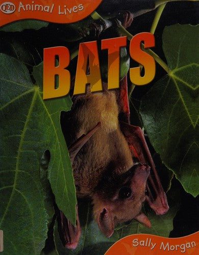 Bats (Animal Lives)