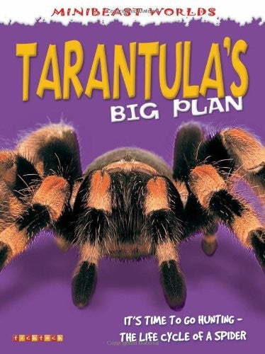 Mb Tarantulas Big Plan