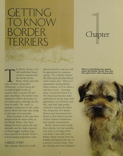 Border Terrier - Best of Breed: 8