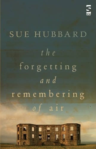 The Forgetting and Remembering of Air (Salt Modern Poets)