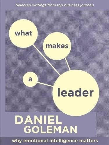 What Makes a Leader: Why Emotional Intelligence Matters