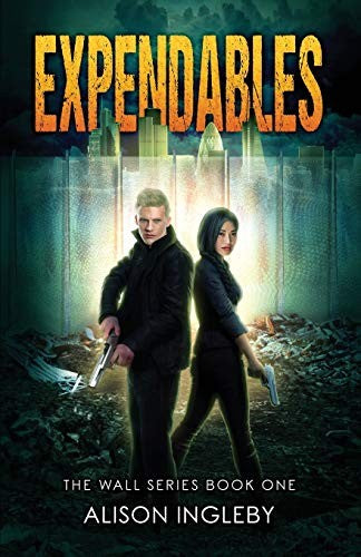 Expendables: 1 (The Wall Series)