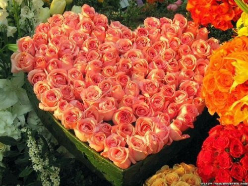Valentines wooden heart full of 100 fresh pink roses for someone very special - UK mainland deliver Only