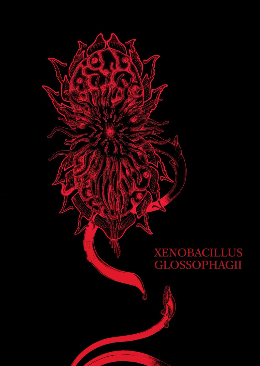 Xenobacillus glossophagii