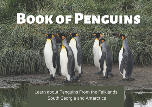 Book of Penguins: Learn About Penguins For Kids Aged 5 - 12