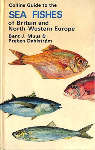 Field Guide to the Sea Fishes of Britain and North-western Europe
