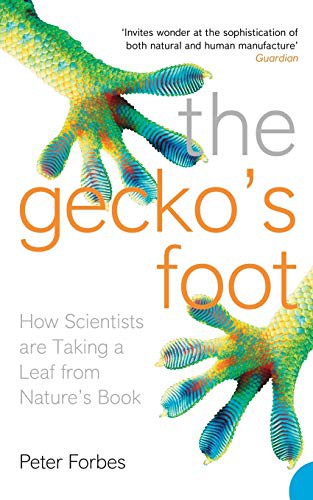 The Gecko's Foot: How Scientists are Taking a Leaf from Nature's Book