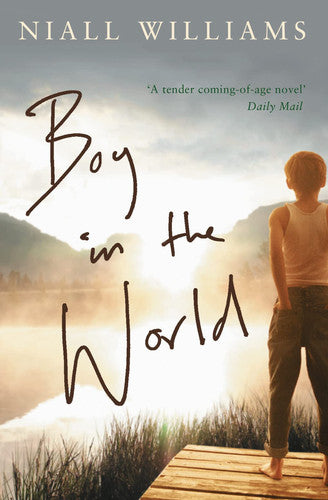 BOY IN THE WORLD: A Gripping Coming-of-Age Mystery Set Between Ireland and London