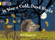 It Was a Cold Dark Night: Band 03/Yellow (Collins Big Cat)