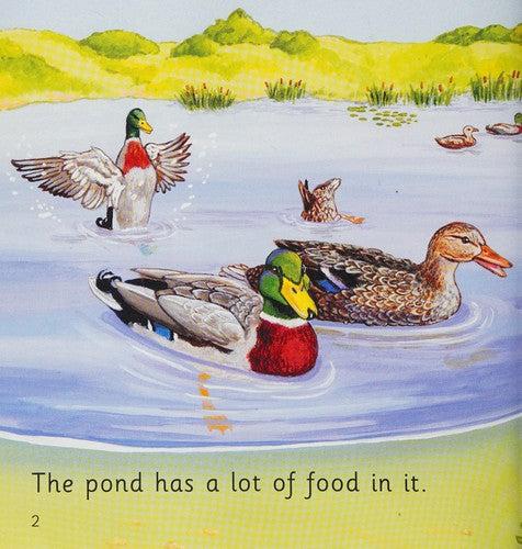 Pond Food: Band 02B/Red B (Collins Big Cat Phonics)