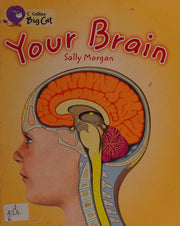 Your Brain: Band 15/Emerald (Collins Big Cat)