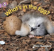 What’s in the Egg?: Band 00/Lilac (Collins Big Cat)
