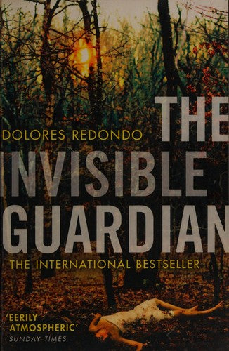 The Invisible Guardian (The Baztan Trilogy, Book 1): A CWA International Dagger Shortlisted Spanish Crime Thriller