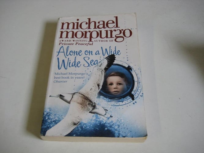 Alone on a Wilde Wilde Sea