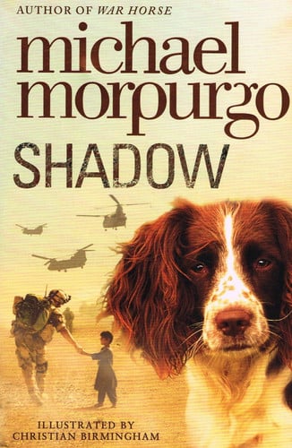Shadow