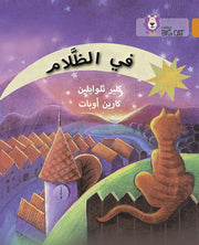 In the Dark: Level 6 (Collins Big Cat Arabic Reading Programme)