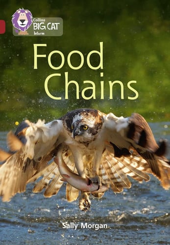 Food Chains: Band 14/Ruby (Collins Big Cat)