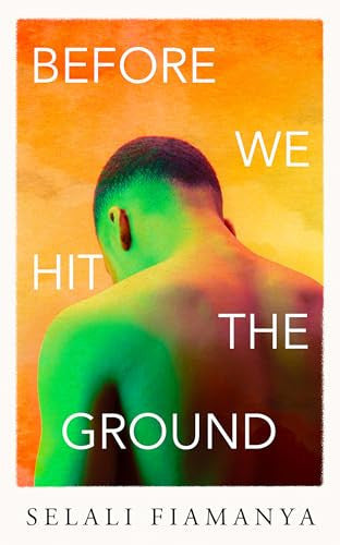 Before We Hit the Ground: The powerful new literary novel for fans of OPEN WATER and EVENINGS AND WEEKENDS