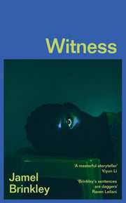 Witness: the stunning new short story collection of families and relationships – ‘Brinkley’s sentences are daggers’ Raven Leilani