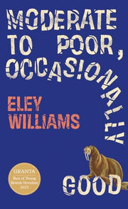 Moderate to Poor, Occasionally Good: Shortlisted for the 2025 Dylan Thomas Prize