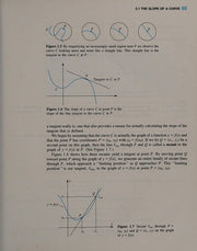 Calculus for Management- Social- and Life Sciences