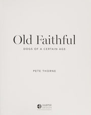 Old Faithful: Dogs of a Certain Age