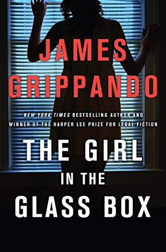 Girl in the Glass Box (Jack Swyteck)