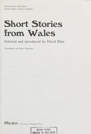 Short Stories from Wales (Literature for Life S.)