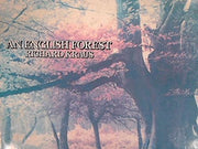 English Forest