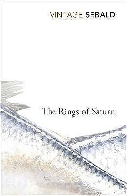 The Rings Of Saturn
