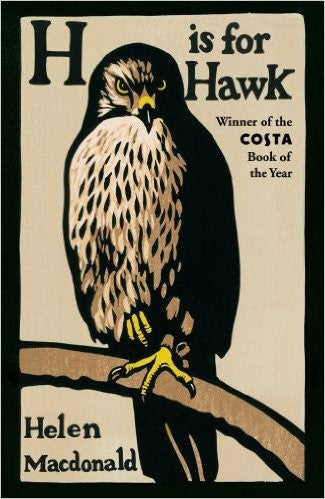 H is for Hawk: NOW A MAJOR NEW FILM