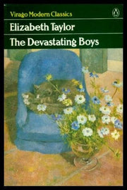 Taylor Elizabeth : Devasting Boys (Vmc) (Virago Modern Classics)