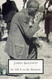 Go Tell IT On the Mountain (Penguin Twentieth Century Classics S.)