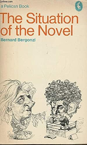 The Situation of the Novel