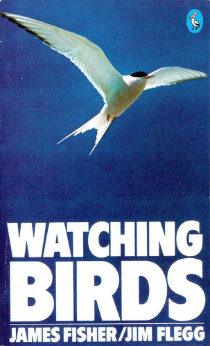 Watching Birds (Pelican S.)