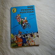 The Furious Flycycle (Puffin Books)