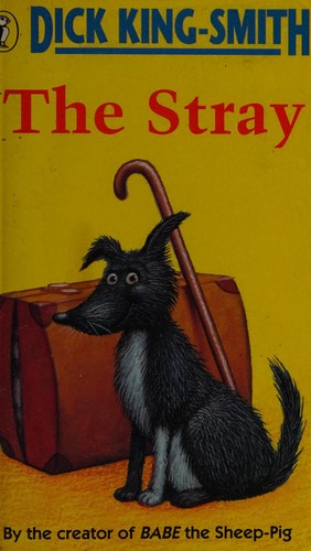 The Stray
