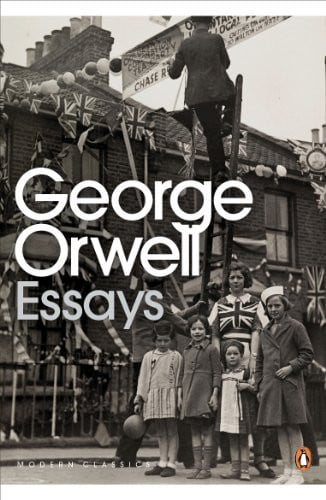 Essays (Penguin Modern Classics)