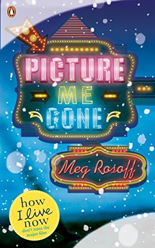 Picture Me Gone