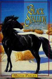Black Stallion