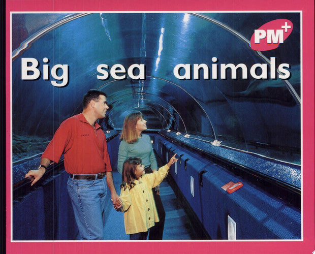 Big sea animals