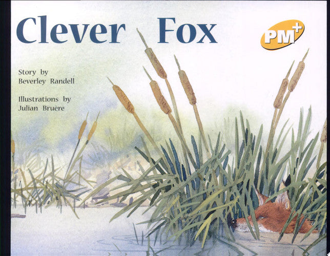 Clever Fox PM PLUS Level 6 Yellow: 3 (Progress with Meaning)