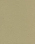 Titus Andronicus: No.166 (Malone Society Reprints S.)