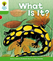 Oxford Reading Tree: Level 2: More Patterned Stories A: What Is It? (Oxford Reading Tree, Biff, Chip and Kipper Stories New Edition 2011)