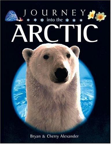 Journey Into The Arctic