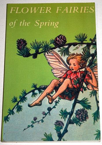 Flower Fairies of the Spring