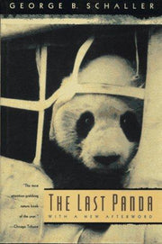 The Last Panda (Paper)