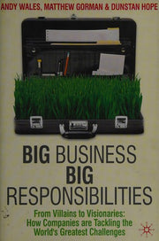 Big Business, Big Responsibilities: From Villains to Visionaries: How Companies are Tackling the World's Greatest Challenges